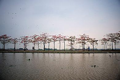 Steam新游戏录制功能现已向所有人开放